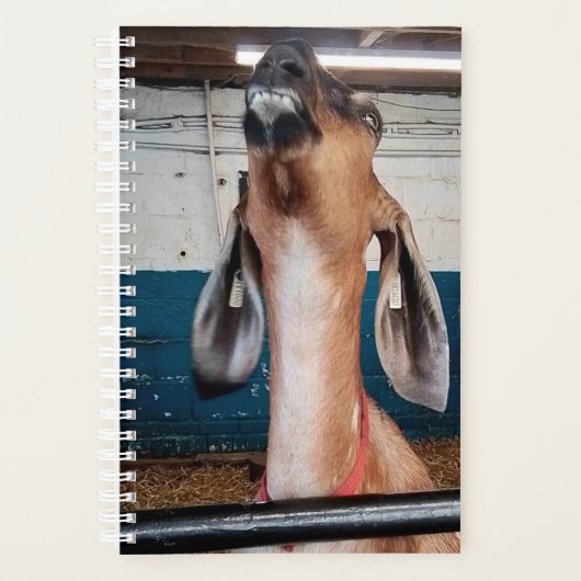 Goed uitziend planner (Voorkant)