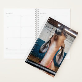 Goed uitziend planner