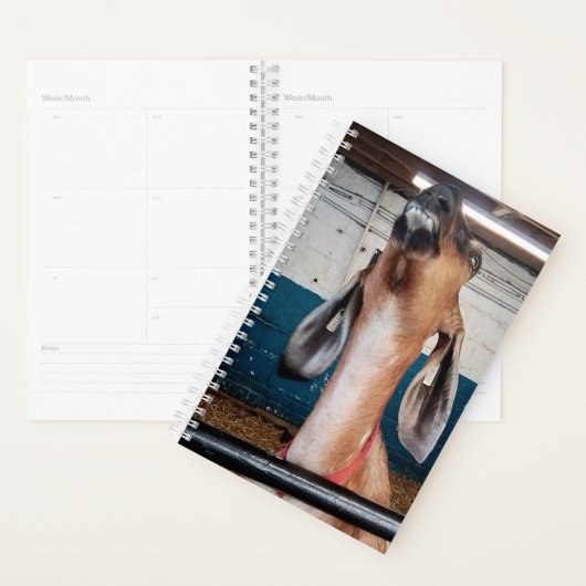 Goed uitziend planner (Display)