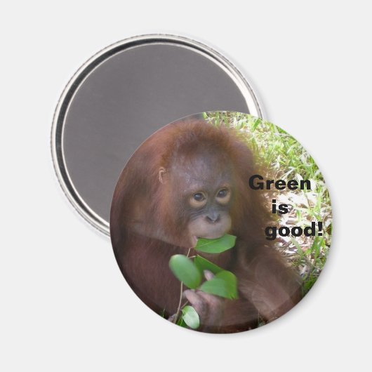 Goed veggie dieet magneet (Voorkant / Achterkant)