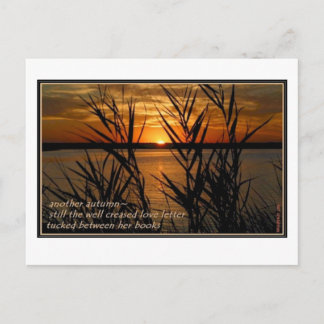 Goed verkorte liefdesbrief briefkaart