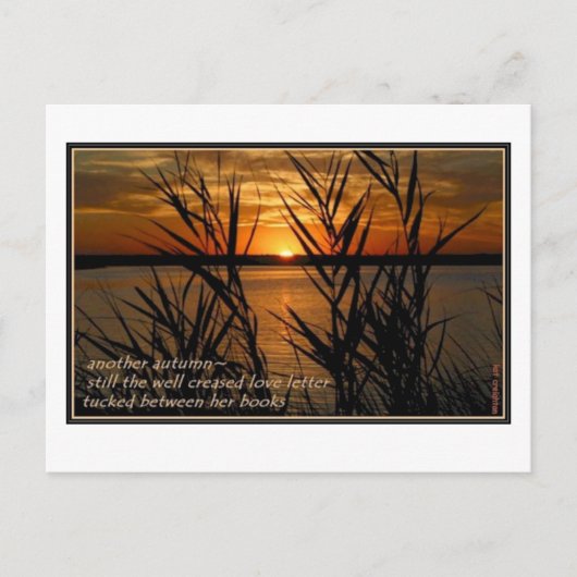 Goed verkorte liefdesbrief briefkaart (Voorkant)