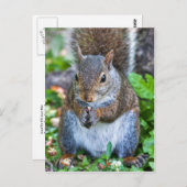 Goed voor de laatste biet briefkaart (Voorkant / Achterkant)