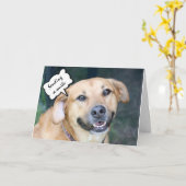 Goed voor haar, Kisses en Smile Cute Smiling Dog Kaart (Gele Bloem)
