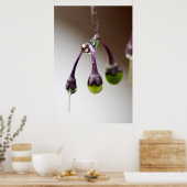 Goed voor het laatste druppel Poster (Keuken)