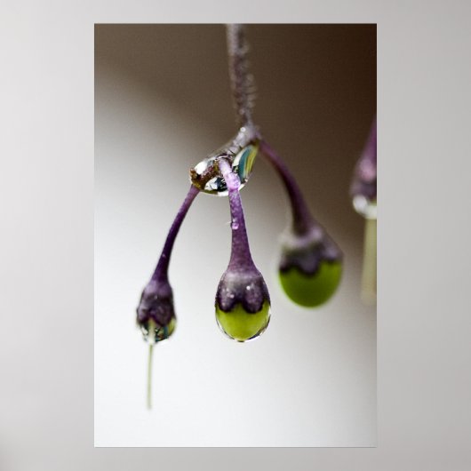 Goed voor het laatste druppel Poster (Voorkant)