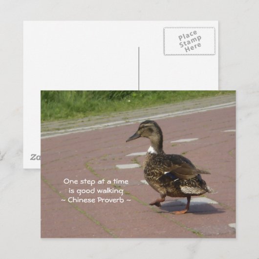 Goed wandelen briefkaart (Voorkant / Achterkant)