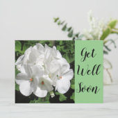 Goed-witte geranium fotografie (Staand voorkant)