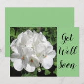 Goed-witte geranium fotografie (Voorkant / Achterkant)