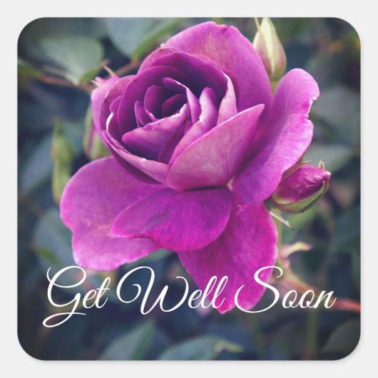 Goed zo snel als Burgundy Iceberg #2-2 Stickers (Voorkant)