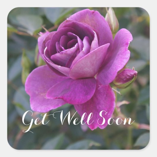 Goed zo snel als Burgundy Iceberg #2 Stickers (Voorkant)