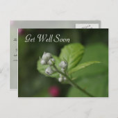 goed, zomerbloem briefkaart (Voorkant / Achterkant)