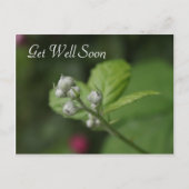 goed, zomerbloem briefkaart (Voorkant)