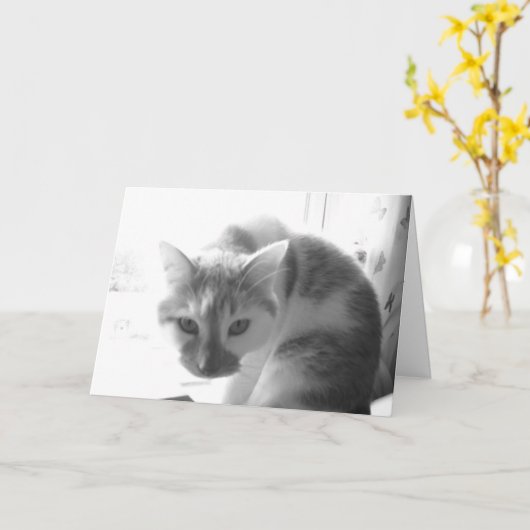 Goede aanmoediging kaart (Gele Bloem)