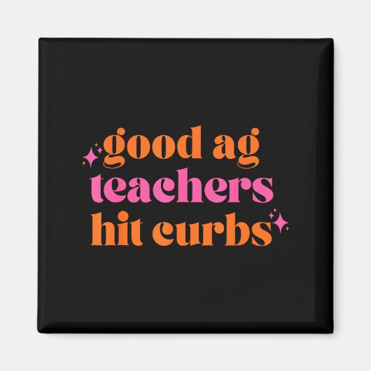 Goede Ag Docenten Slaan Stoepranden Grappig Gezegd Magneet (Voorkant)