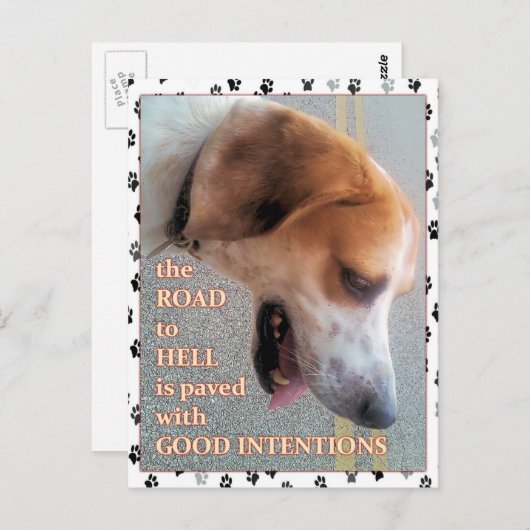 Goede bedoelingen Dog Briefkaart (Voorkant / Achterkant)