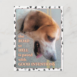 Goede bedoelingen Dog Briefkaart