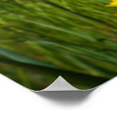 Goede dag begint met een Great Nurse posters Verpl (Hoek)