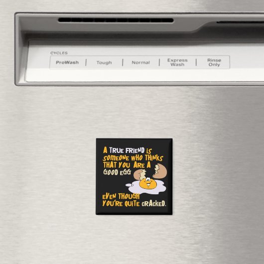 Goede Ei magneet (Insitu (Vaatwasser))