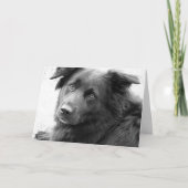 Goede genezing kaart (Voorkant)