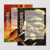 Goede groeigids: Aardappelen en wortelen Briefkaart (Voorkant / Achterkant)