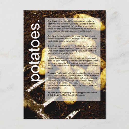 Goede groeigids: Aardappelen en wortelen Briefkaart (Voorkant)