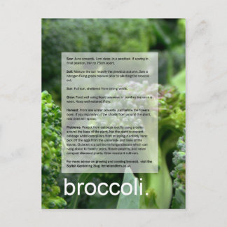 Goede groeigids: Broccoli en radijzen Briefkaart