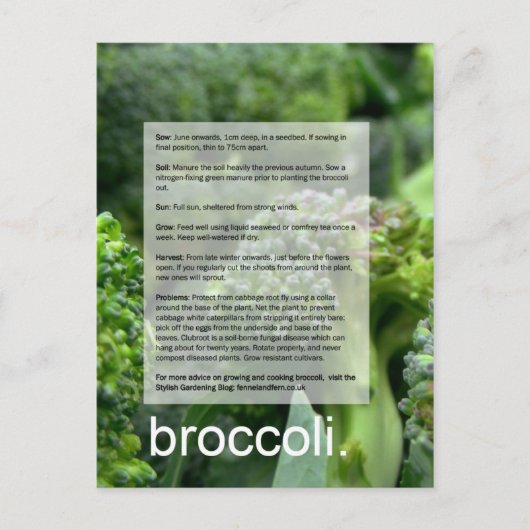 Goede groeigids: Broccoli en radijzen Briefkaart (Voorkant)