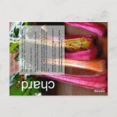 Goede groeigids: Pumpkin en Chard Briefkaart (Achterkant)