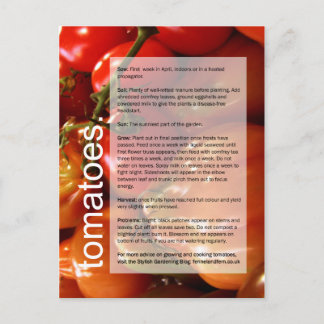 Goede groeigids: Tomaten en knoflook Briefkaart