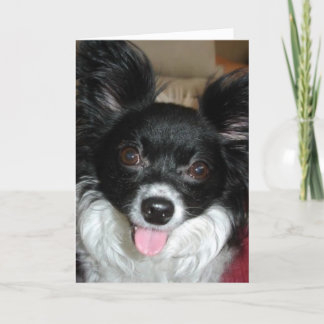 Goede Hond - Kerstmis Feestdagen Kaart