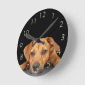 Goede hond ronde klok (Hoek)