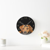 Goede hond ronde klok (Huis)