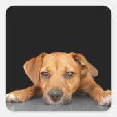 Goede hond vierkante sticker (Voorkant)
