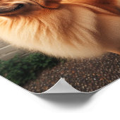 Goede jongen - golden retriever poster (Hoek)