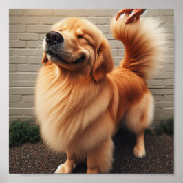 Goede jongen - golden retriever poster