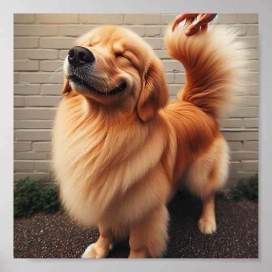 Goede jongen - golden retriever poster (Voorkant)