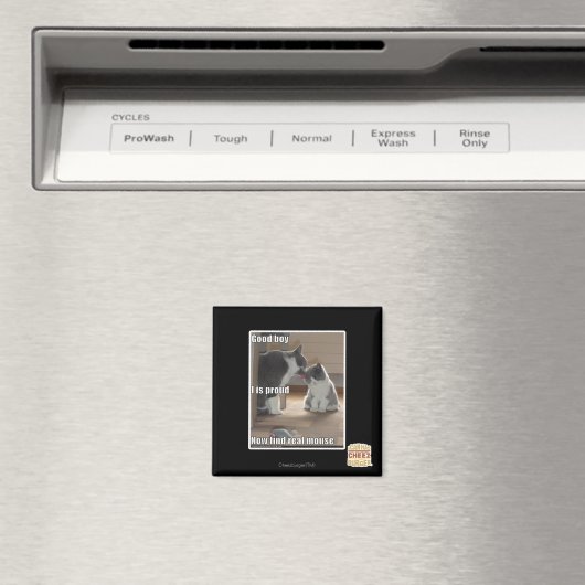 Goede jongen magneet (Insitu (Vaatwasser))