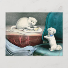 Goede kleine Fido en ondeugende Kittie, 1893 Briefkaart