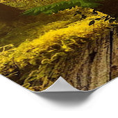 GOEDE LEZENDE POSTERS: "Fairy Tales" Poster (Hoek)