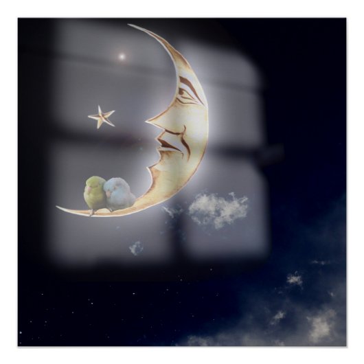 Goede nacht en mooie dromen Pacific Parrotlets Art Perfect Poster (Voorkant)