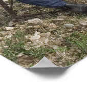 Goede oude Curtis Poster (Hoek)