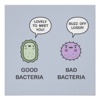 Goede, slechte bacteriën perfect poster