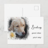 *~ Goede trillingen Treurig Goud Hond Bloem AP61 Briefkaart (Voorkant / Achterkant)