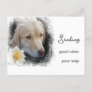 *~ Goede Trillingen Verdrietige Gouden Hond Bloem  Briefkaart