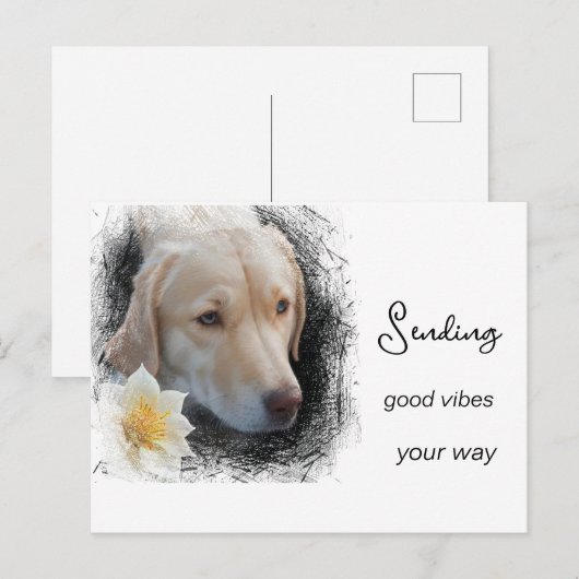 *~ Goede Vibes Sad Gold Dog Flower AP61 Briefkaart (Voorkant / Achterkant)
