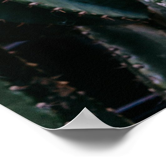 Goede vibes | Trendy Retro Zomer Woestijn Cactus Poster (Hoek)