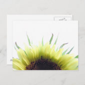 Goedemorgen briefkaart zonnebloem (Voorkant / Achterkant)