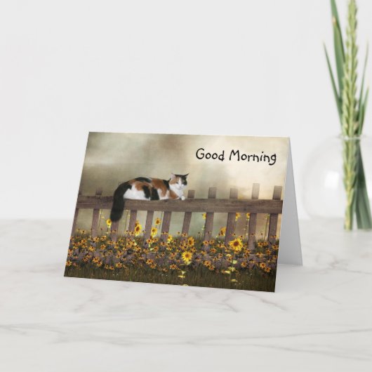 Goedemorgen calico kat kaart (Voorkant)