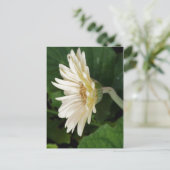 Goedemorgen Daisy Briefkaart (Staand voorkant)